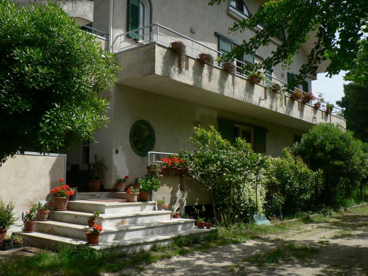B&B Sun Garden Montoro Inferiore Bagian luar foto